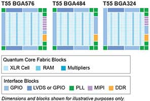Image of Efinix's Trion® T55 Dimensions and Blocks Diagrams